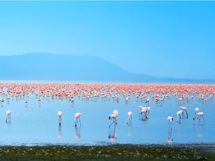 Vịnh Hạ Long trong danh sách 50 kỳ quan thiên nhiên đẹp nhất thế giới -3