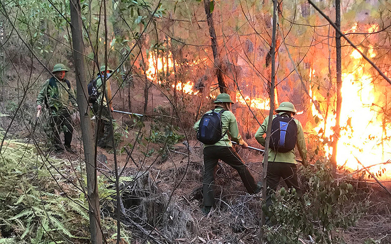 Nghệ An: Nỗ lực dập tắt đám cháy rừng tại Hưng Nguyên -0