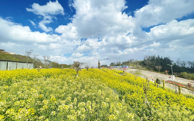 Fansipan: Điểm đến cho mùa cầu an -0