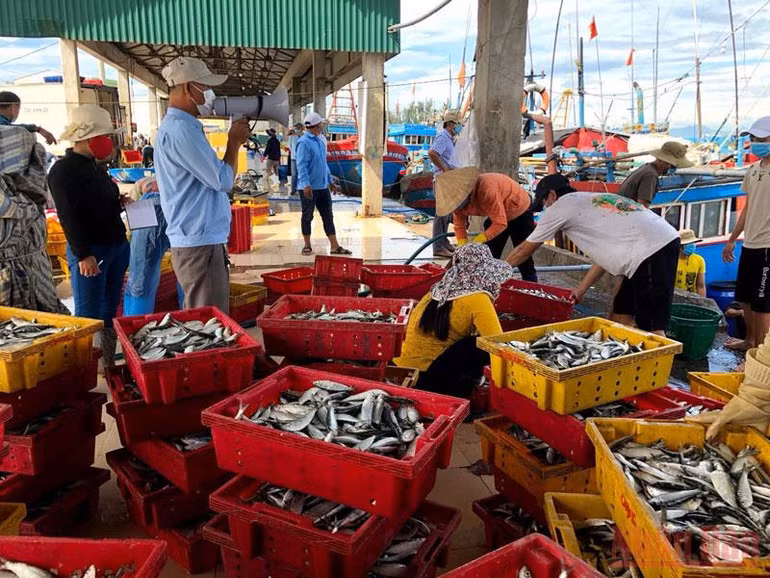 Quảng Ngãi kiểm soát tàu thuyền bằng thiết bị giám sát hành trình -0