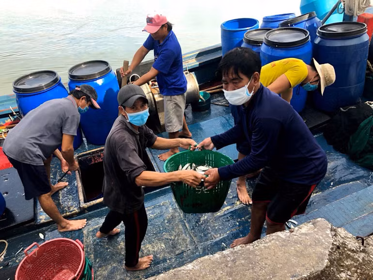 Quảng Ngãi kiểm soát tàu thuyền bằng thiết bị giám sát hành trình -0