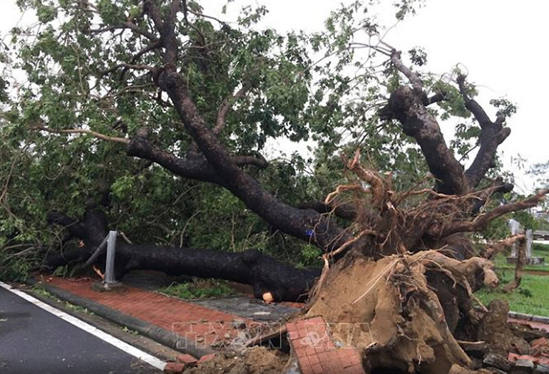 Bão số 13 đã gây thiệt hại tại một số địa phương -0