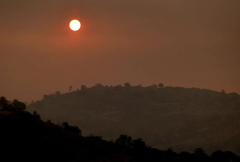 Mỹ bọc chất chống cháy để cứu cây lớn nhất thế giới khỏi hỏa hoạn -0