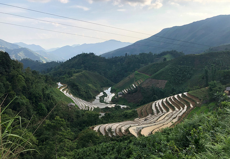 Đi tìm “cây báo vụ mùa” của người Tày ảnh 3