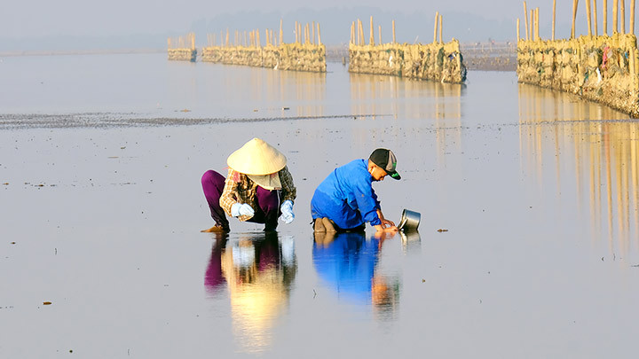 Mưu sinh ven biển Thụy Xuân -0