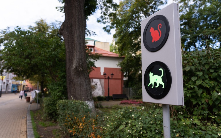 "Thủ phủ mèo" của nước Nga ảnh 4