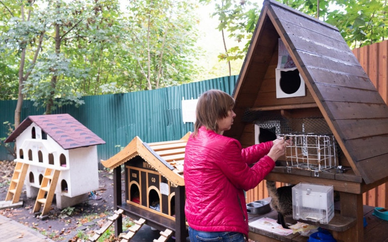 "Thủ phủ mèo" của nước Nga ảnh 7