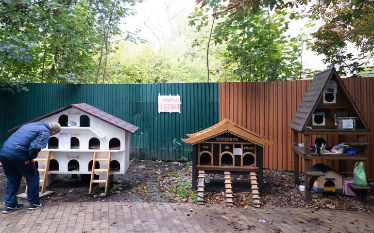 "Thủ phủ mèo" của nước Nga ảnh 6