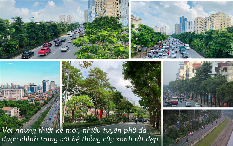 Cây xanh Hà Nội -0