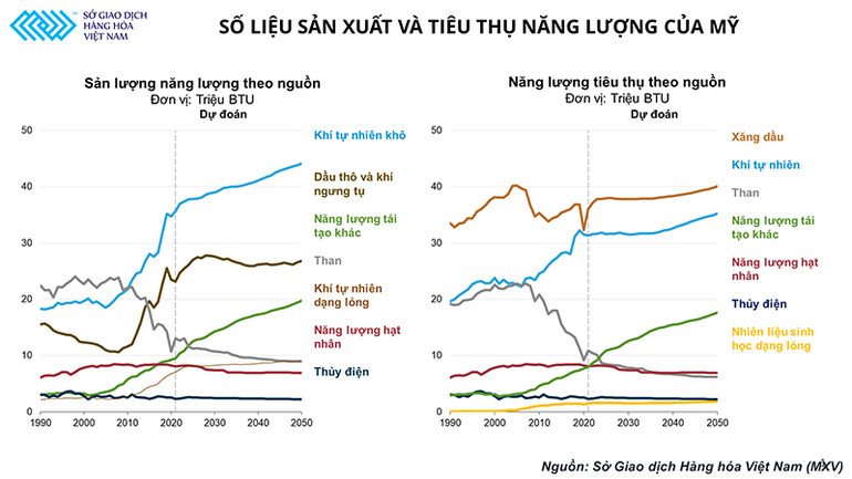 Thị trường kim loại quý: Khi giá trị vượt xa nhu cầu trú ẩn an toàn -0