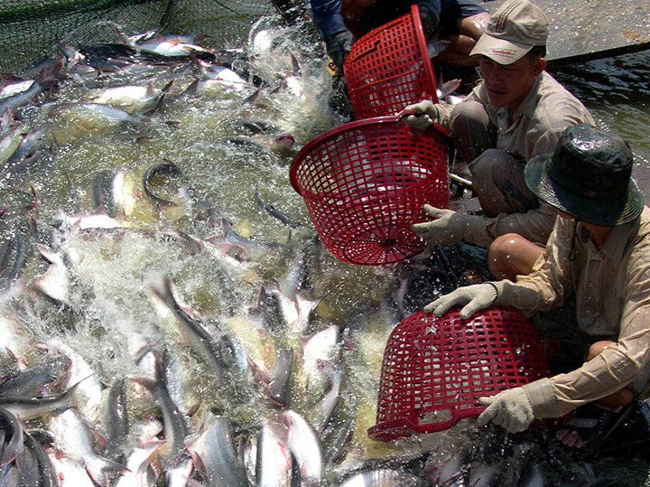 Thủ tướng Nguyễn Xuân Phúc chủ trì Hội nghị về phát triển bền vững vùng ĐBSCL -0