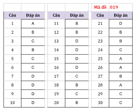Gợi ý đáp án các mã đề môn Lịch sử thi 10 Hà Nội -0