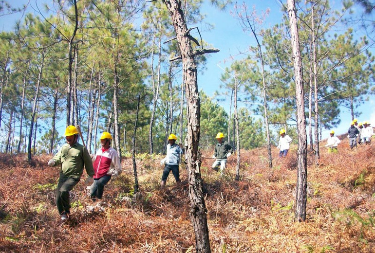 Dịch vụ chi trả môi trường rừng góp phần nâng cao thu nhập cho hàng trăm nghìn hộ dân. USAID tài trợ hơn 31 triệu USD triển khai dự án về thích ứng biến đổi khí hậu tại Việt Nam -0
