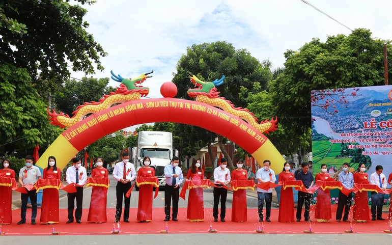 Cấp Giấy chứng nhận đăng ký nhãn hiệu “nhãn Sơn La” -0