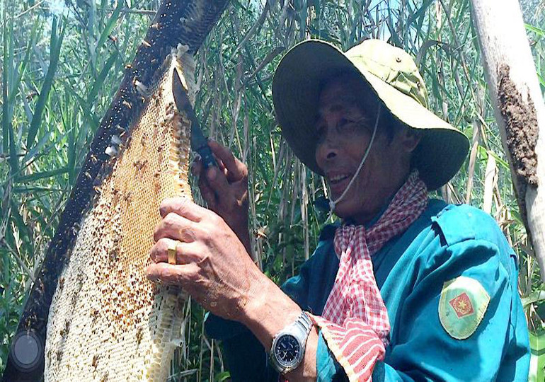 Đánh thức tiềm năng du lịch Cà Mau -0