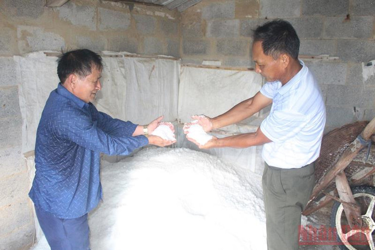 Giá muối tăng, người làm muối Quỳnh Lưu phấn khởi bám nắng sản xuất -0