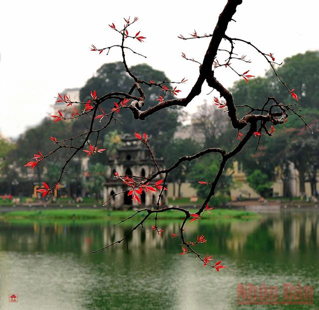 Một thoáng Hồ Gươm. (Ảnh: HÀ HỒNG) Triển lãm “Hồ Gươm, giao lộ Đông – Tây” -0