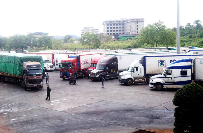 Mỗi ngày, hơn 500 tấn vải thiều Bắc Giang xuất khẩu qua Cửa khẩu Lào Cai -0