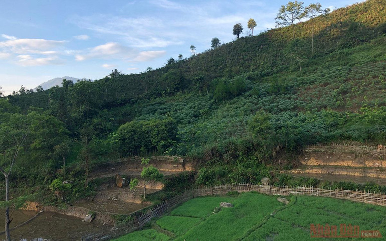 Kỳ 1: Homestay “Nhà em ở lưng đồi” -4