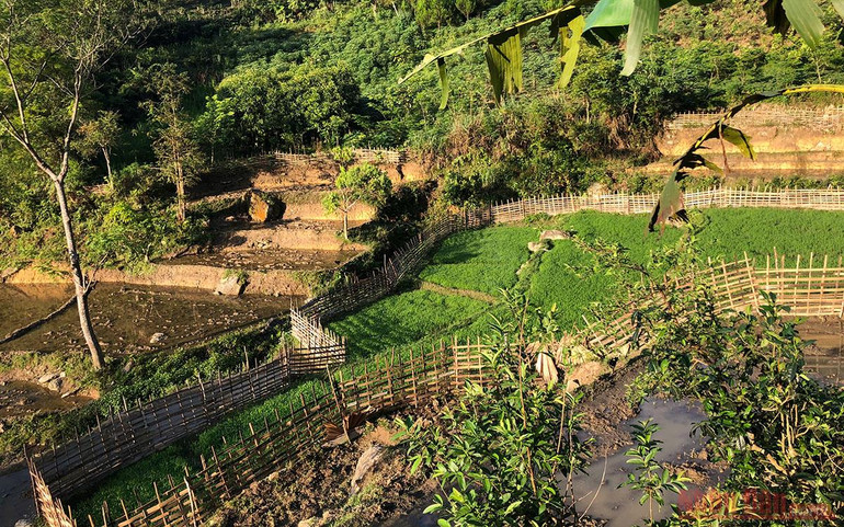 Kỳ 1: Homestay “Nhà em ở lưng đồi” -6