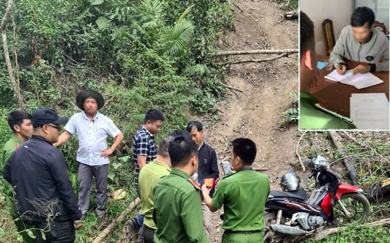 Khởi tố vụ án, tạm giữ ba nghi phạm phá rừng bạch tùng cổ thụ -0