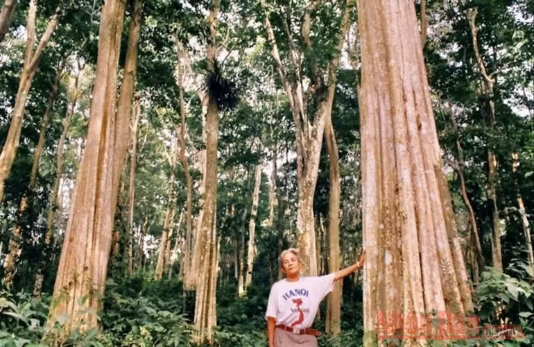 Bài 2: Giữ rừng săng lẻ - niềm tự hào của xứ Nghệ -0