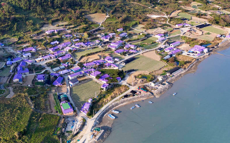 Độc đáo “Quần đảo Tím” hút khách ở Hàn Quốc -0