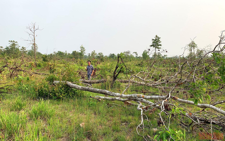 Những bất cập của Làng thanh niên lập nghiệp biên giới Ia Lốp -0