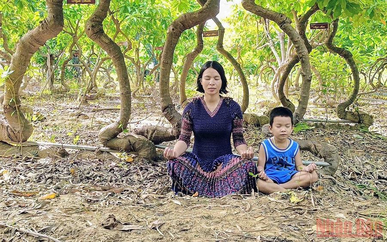 Vườn cây Sala tạo dáng thế theo triết lý nhà Phật ở Ninh Thuận -0