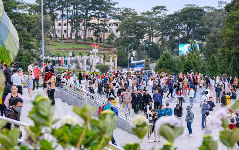 Tín hiệu vui cho ngành du lịch Đà Lạt - Lâm Đồng -0