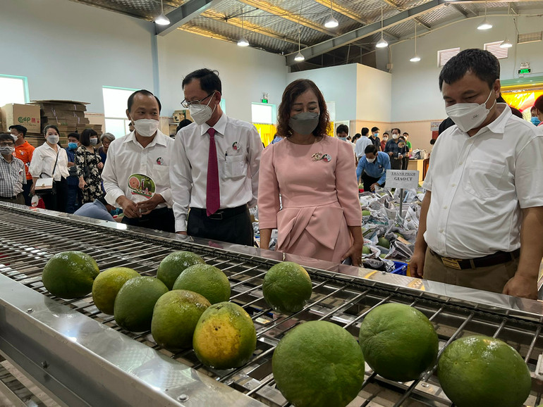 Các đại biểu tham quan dây chuyền sản xuất của Hợp tác xã Bưởi da xanh tỉnh Bến Tre. Khánh thành khu phức hợp đa chức năng - Hợp tác xã Bưởi da xanh tỉnh Bến Tre -0