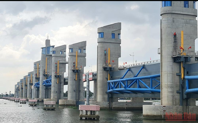 Đồng bằng sông Cửu Long đã thay đổi tư duy từ chống đỡ sang chủ động thích ứng -0