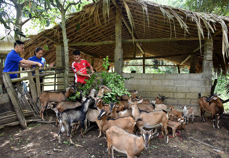 Những “Hạt giống đỏ” nơi vùng chiến khu xưa -0