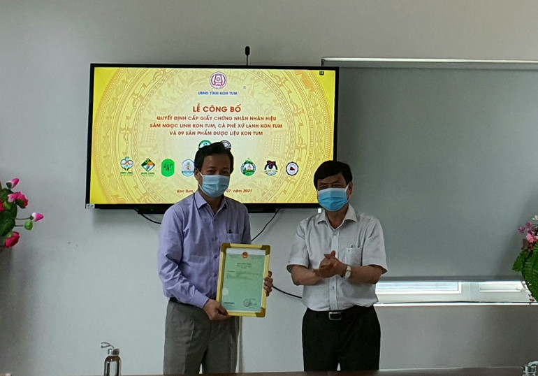 Công bố chứng nhận nhãn hiệu Sâm Ngọc Linh Kon Tum -0