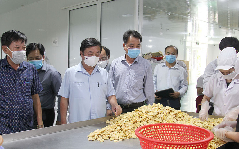 Bộ trưởng Lê Minh Hoan làm việc và thăm vùng sản xuất nông sản tại Vĩnh Long -0