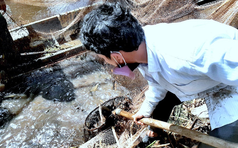 Tái hiện thu hoạch cá đồng ở miệt rừng U Minh hạ ảnh 1 dia_3-1619871327992.jpg