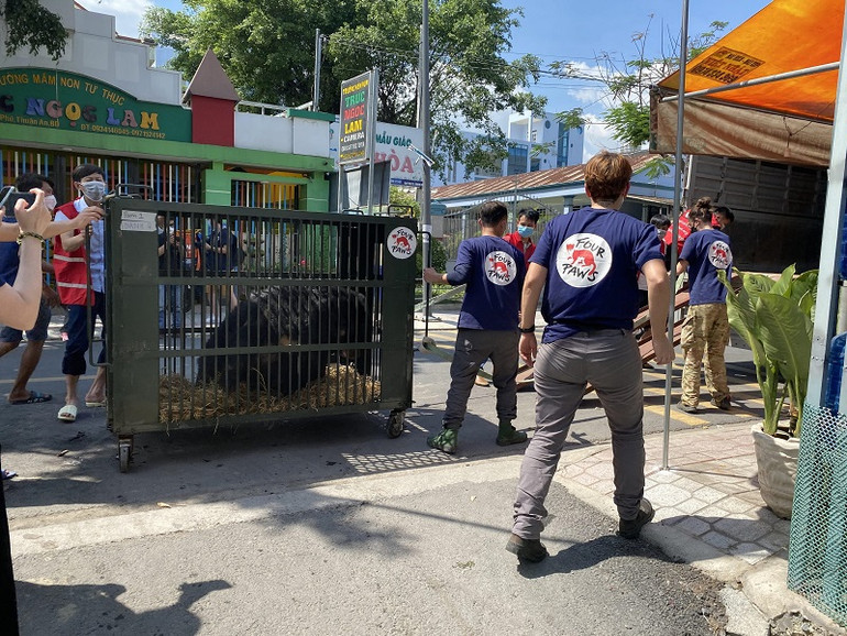 Cứu hộ 9 cá thể gấu ngựa ở Bình Dương -0