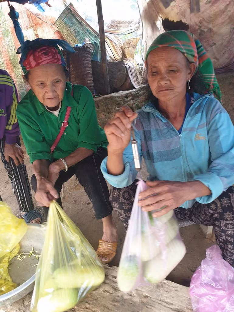 Con đường hạnh phúc -0