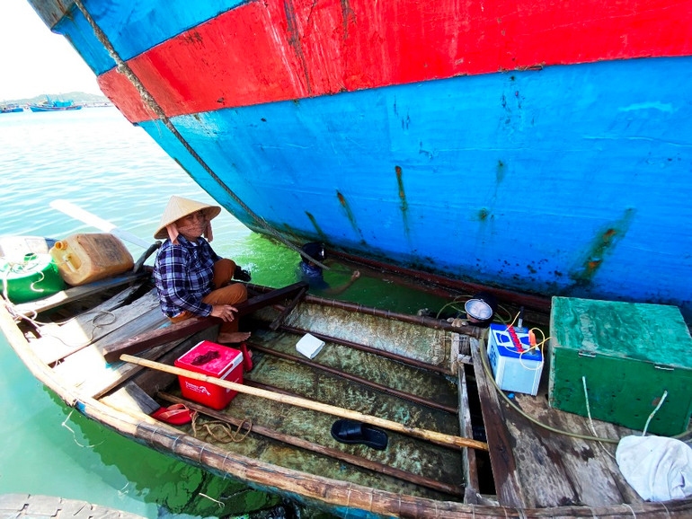 Ghi nhận từ tâm dịch Sa Huỳnh, Quảng Ngãi -0