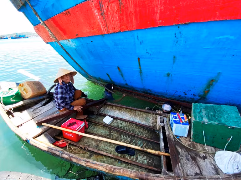 Ghi nhận từ tâm dịch Sa Huỳnh, Quảng Ngãi -0