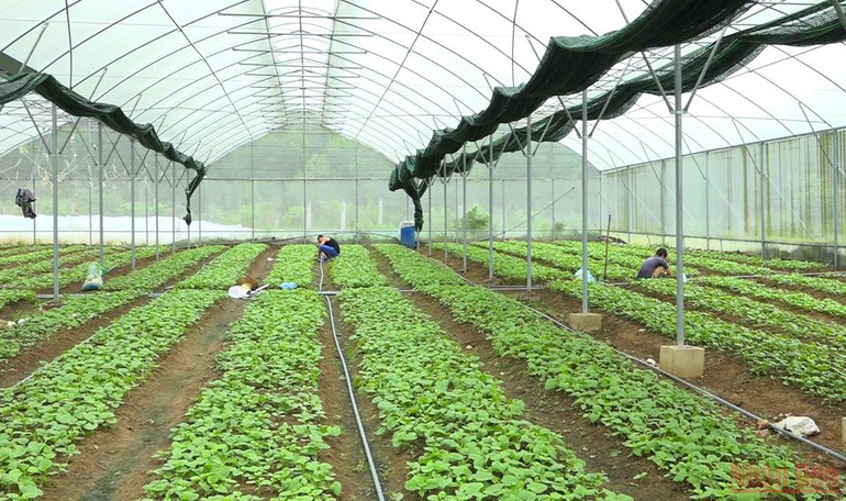 Tháo gỡ vướng mắc trong phát triển du lịch nông thôn -0