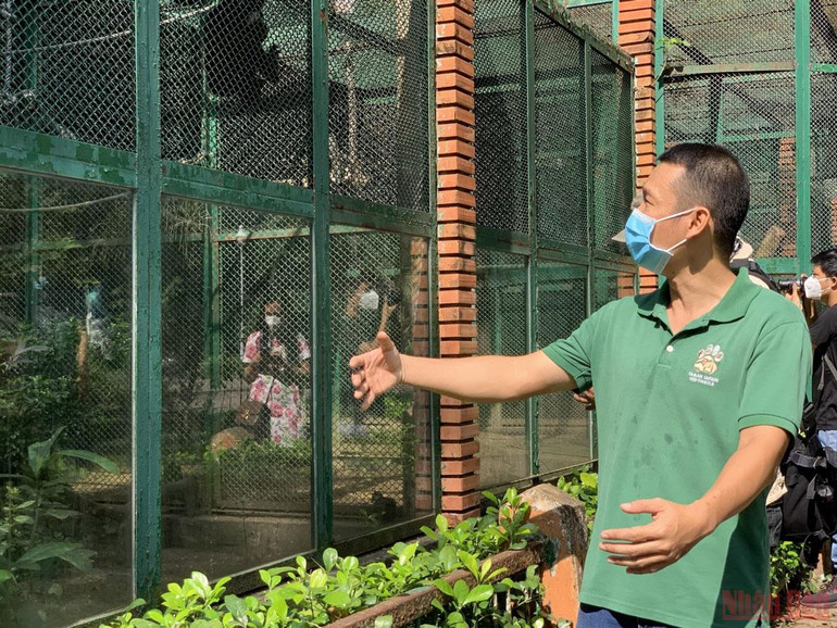 Thảo Cầm Viên Sài Gòn trước ngày mở cửa trở lại -0