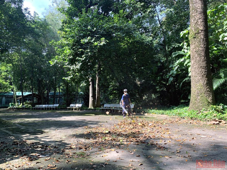 Thảo Cầm Viên Sài Gòn trước ngày mở cửa trở lại -0