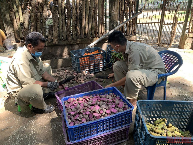 Thảo Cầm Viên Sài Gòn trước ngày mở cửa trở lại -0