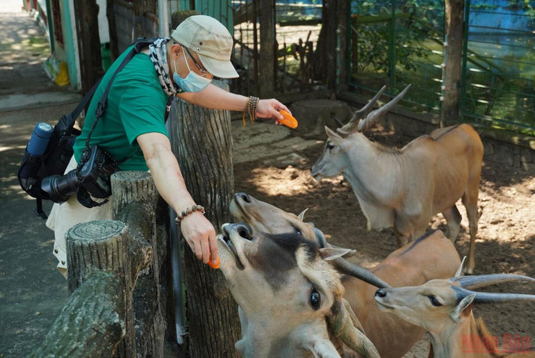 Thảo Cầm Viên Sài Gòn trước ngày mở cửa trở lại -0