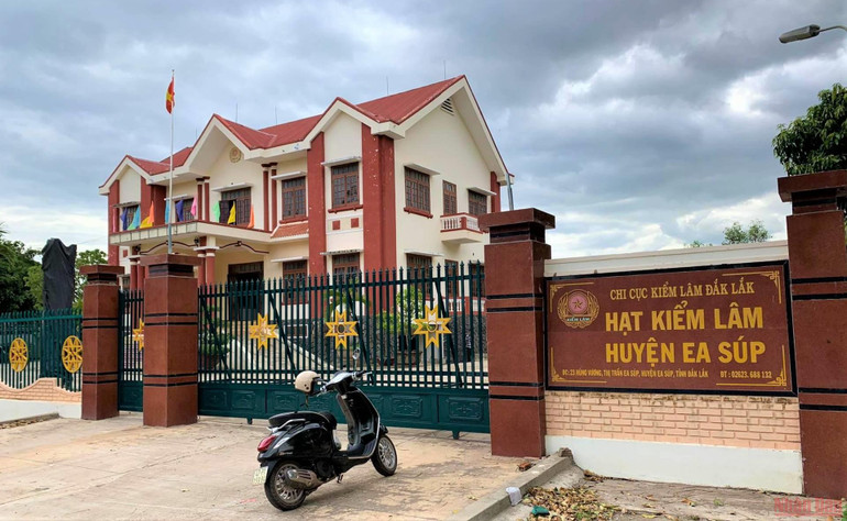 Mặc dù Bí thư Huyện ủy Ea Súp đã điện thoại trước với lãnh đạo Hạt Kiểm lâm huyện về nội dung làm việc, cung cấp thêm thông tin về vụ phá rừng cho báo chí nhưng khi nhóm phóng viên chúng tôi đến trụ sở Hạt Kiểm lâm huyện, mặc dù đang trong giờ làm việc nhưng cổng bị khóa chặt. Vì sao rừng bị tàn phá gần 400ha mới được phát hiện? -0