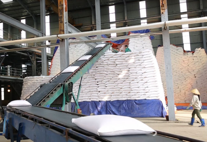 Băng tải vận chuyển đường vào kho. Ngành mía đường Thanh Hóa nỗ lực vượt khó -0