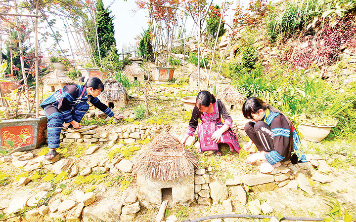 Trường học Du lịch giữa đại ngàn Y Tý -0