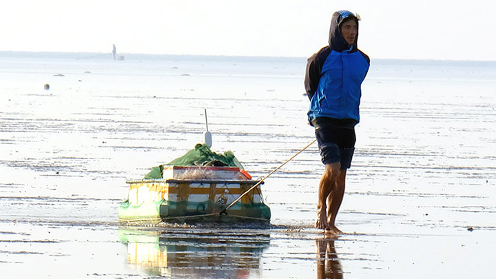 Mưu sinh ven biển Thụy Xuân -0