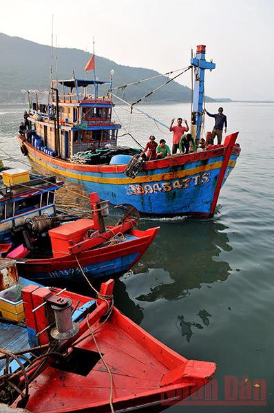 Tàu cá cập cảng an toàn sau chuyến ra khơi đánh bắt hải sản. Điểm tựa vững chắc cho ngư dân vươn khơi bám biển -5
